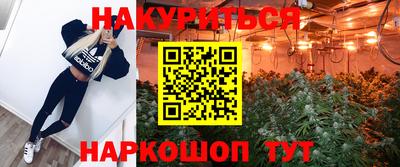 гидра Краснокаменск