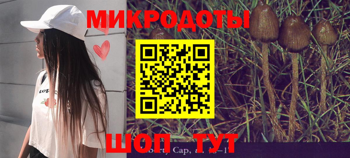 Псилоцибиновые грибы GOLDEN TEACHER  Галлюциногенные грибы мицелий  Вход с VPN  как найти закладки  Зеленодольск 
